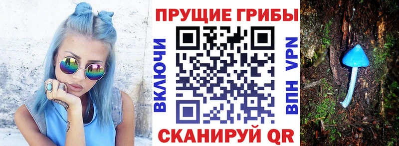 наркошоп  Химки  Псилоцибиновые грибы мухоморы 